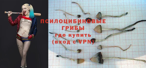 а пвп мука Алзамай