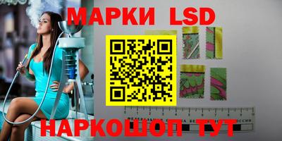 spice Кингисепп