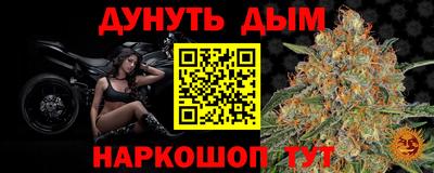 spice Кингисепп
