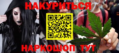 spice Кингисепп