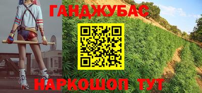 шишки Кинель
