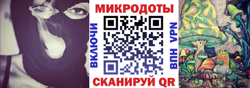 Псилоцибиновые грибы ЛСД  KRAKEN ССЫЛКА  Кудрово  наркота 