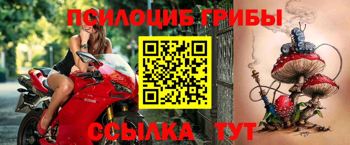 Псилоцибиновые грибы Magic Shrooms  Псилоцибиновые грибы Magic Shrooms  Вход с VPN  Кудрово 